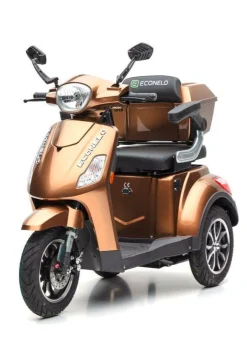 BADER Akku-Trike, 3-Rad