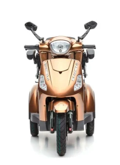 BADER Akku-Trike, 3-Rad