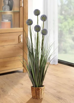 BADER Allium-Gesteck im Topf