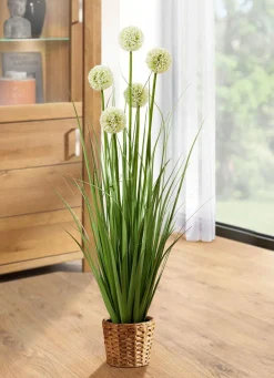 BADER Allium-Gesteck im Topf