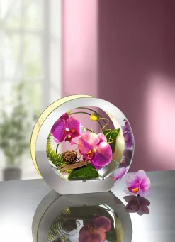 BADER Beleuchtete Orchidee im Glas