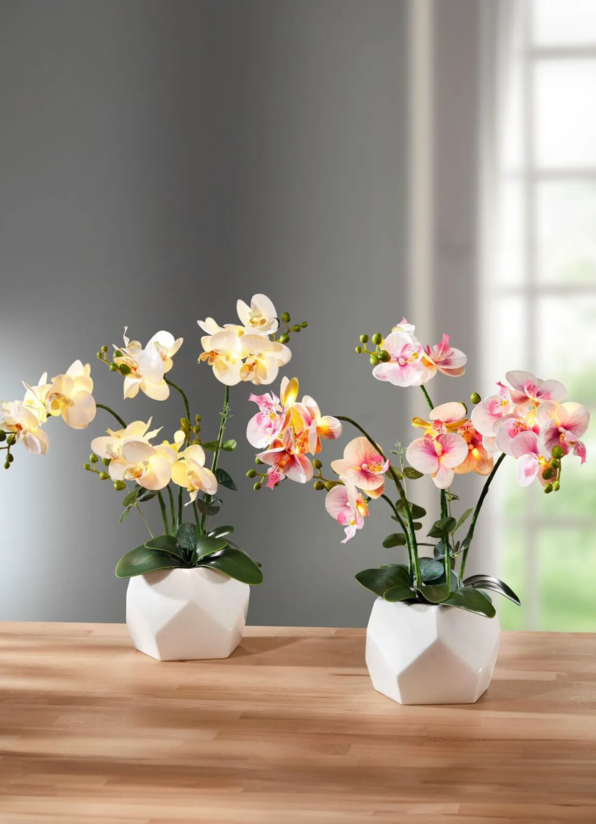 BADER Beleuchtete Orchidee im Topf