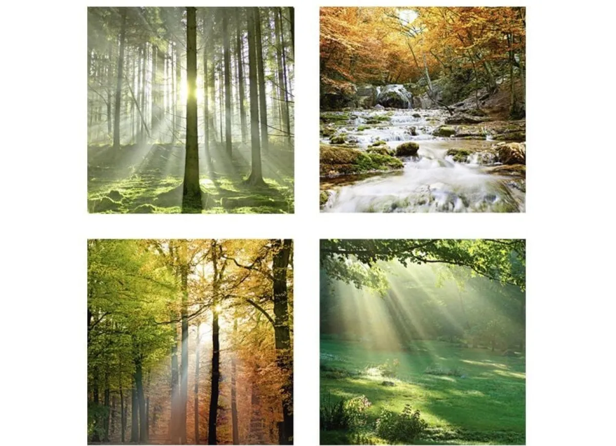BADER Bilder-Set, 4-teilig, mit Waldmotiven