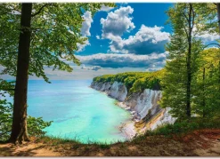 BADER Bild "Kreidefelsen an der Küste der Ostsee auf der Insel Rügen"