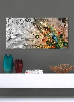 BADER Bild Wassertropfen auf einer Pusteblume