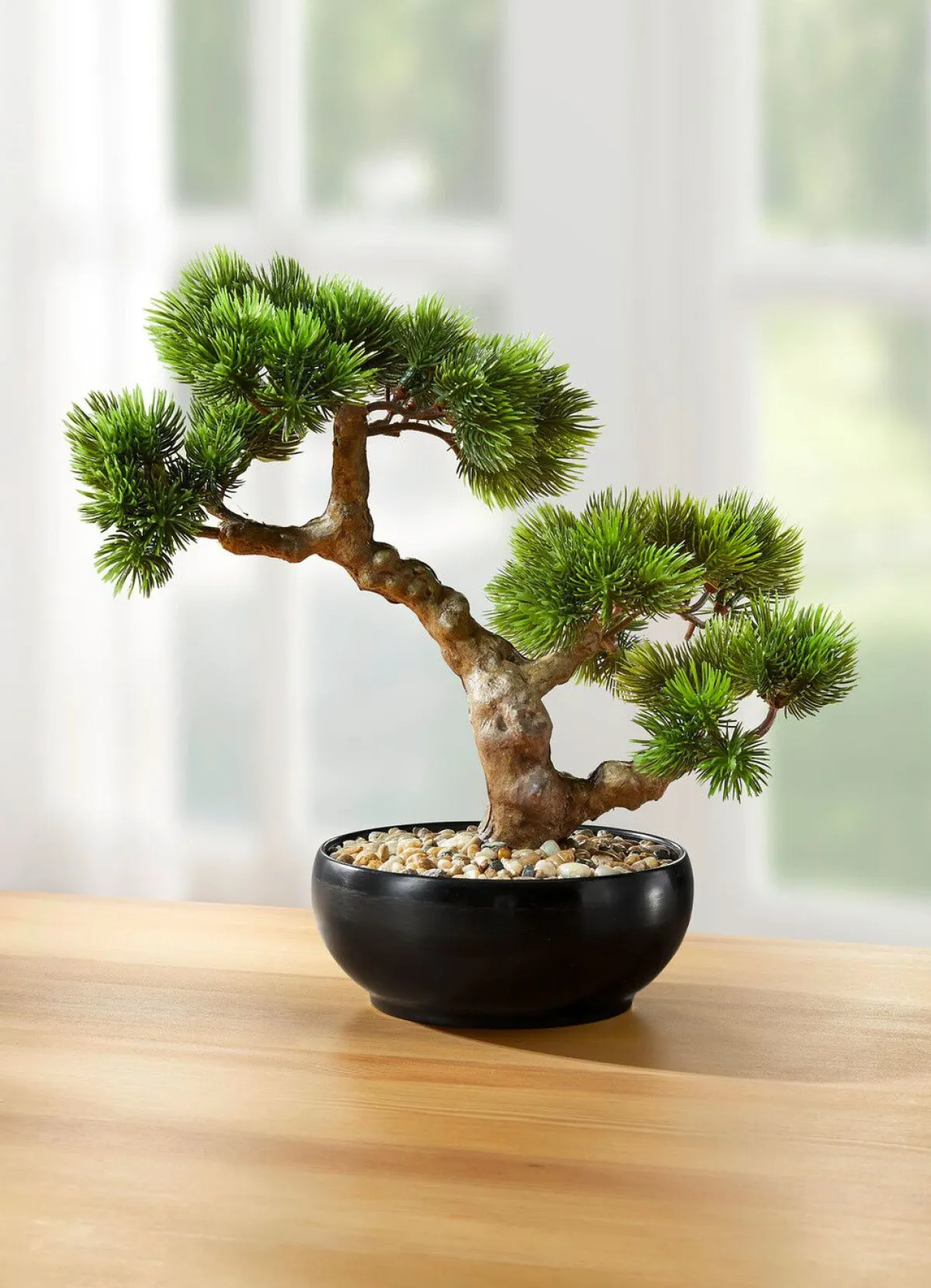 BADER Bonsai im Keramiktopf