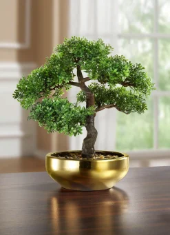 BADER Bonsai in Keramikschale