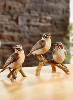BADER Braunkehlchen - Vogel des Jahres 2023