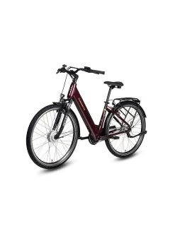 BADER E-Bike Comfort Plus 5.0 von Saxonette