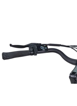 BADER E-Bike Comfort Plus 5.0 von Saxonette