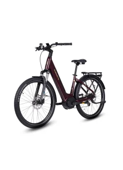 BADER E-Bike Deluxe SUV Easy