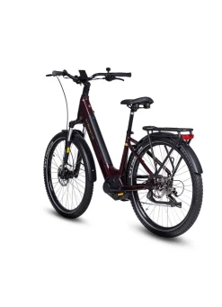 BADER E-Bike Deluxe SUV Easy