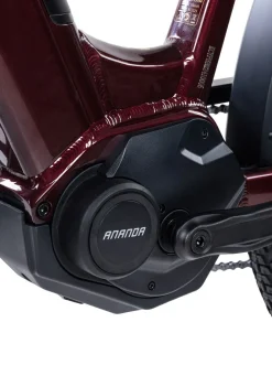 BADER E-Bike Deluxe SUV Easy