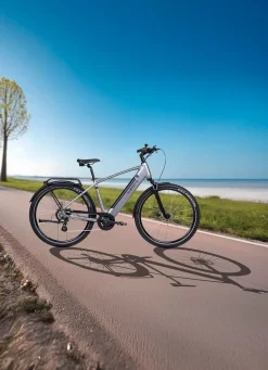 BADER E-Trekking-Bike X-Road 5.2 von SAXONETTE