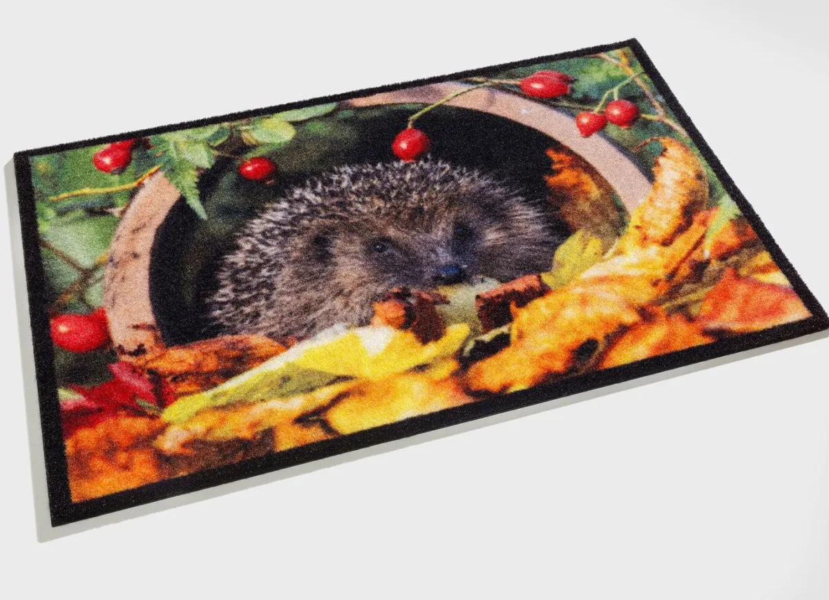 BADER Fußmatte mit Igel-Motiv