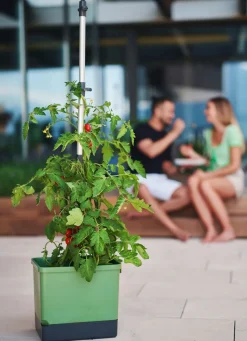 BADER Gusta Garden Tom Tomato mit Bewässerungssystem