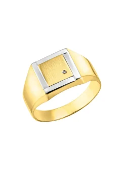 Herren BADER Herrenring in Bicolor-Design