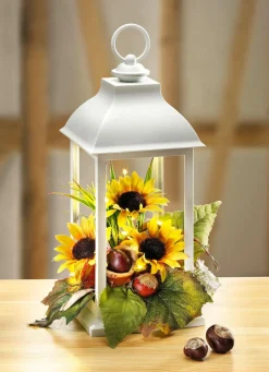 BADER Laterne mit Beleuchtung