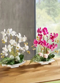 BADER Orchideen-Arrangement in Schale
