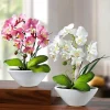 BADER Orchideen in Keramikschale, 2er-Set