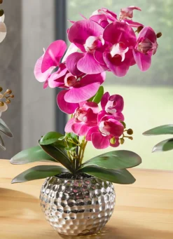 BADER Orchidee Phalaenopsis in Keramikschale