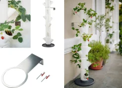 BADER Pflanz-System Sissi Strawberry