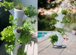 BADER Pflanz-System Sissi Strawberry