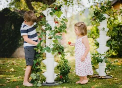 BADER Pflanz-System Sissi Strawberry