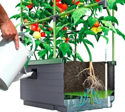 BADER Rankkasten City Jungle