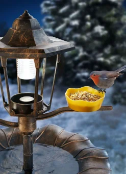 BADER Solar-Vogelbad