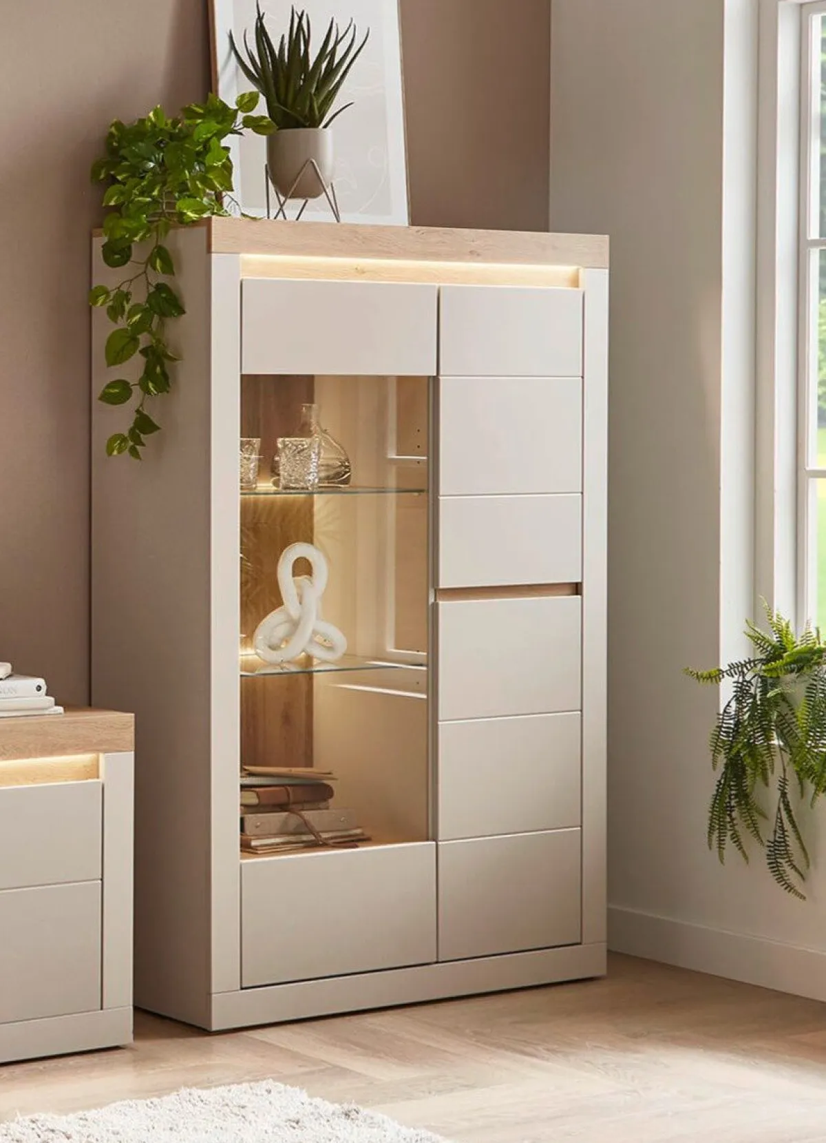 BADER Vitrine mit LED-Beleuchtung, 1-türig